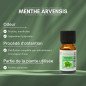 Menthe Arvensis - Huile essentielle - 10 ml