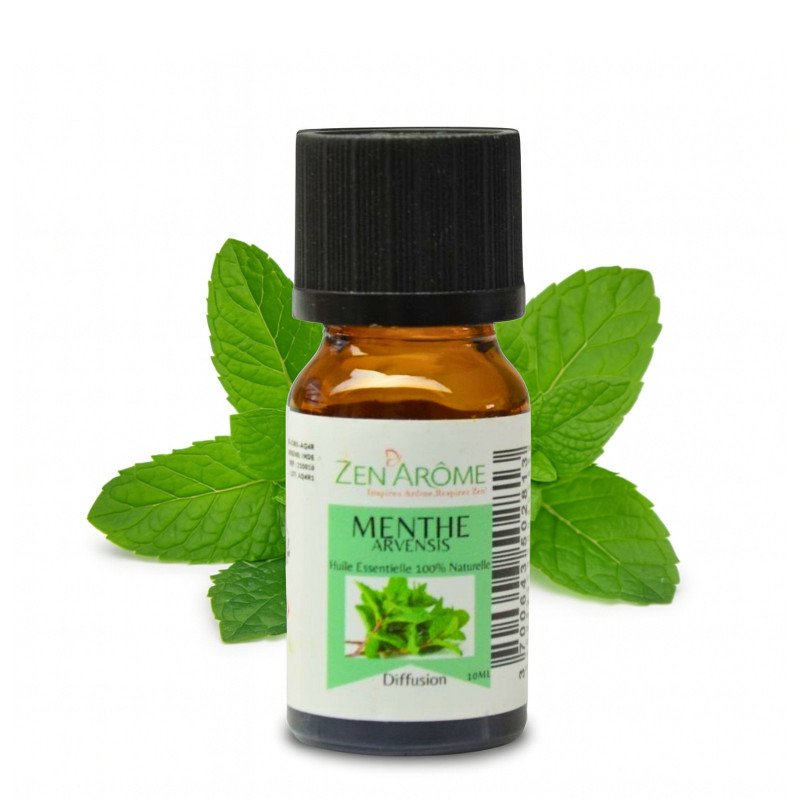 Menthe Arvensis - Huile essentielle - 10 ml