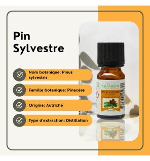  bouteille d’huile essentielle pin sylvestre à côté de branches de pin pour illustrer l’origine naturelle