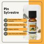 Pin Sylvestre - Huile essentielle - 10 ml Pin Sylvestre - Huile essentielle - 10 ml