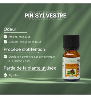  huile essentielle pin sylvestre 10 ml utilisée lors d’une séance d’aromathérapie à la maison