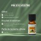 Pin Sylvestre - Huile essentielle - 10 ml Pin Sylvestre - Huile essentielle - 10 ml