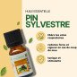 Pin Sylvestre - Huile essentielle - 10 ml Pin Sylvestre - Huile essentielle - 10 ml