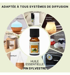  huile essentielle pin sylvestre 10 ml entourée de pierres de bien-être et d’éléments naturels
