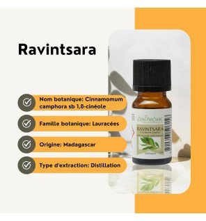  flacon de ravintsara 10 ml entouré de feuilles fraîches pour illustrer la naturalité du produit