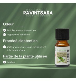  huile essentielle ravintsara posée près d’un diffuseur pour montrer son usage en aromathérapie