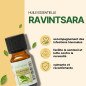 Ravintsara - Huile essentielle - 10 ml
