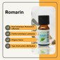 Romarin - Huile essentielle - 10 ml
