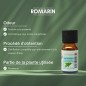 Romarin - Huile essentielle - 10 ml