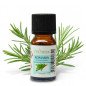 Romarin - Huile essentielle - 10 ml