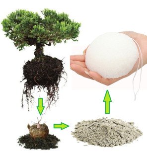  détail de la fibre végétale de l’éponge konjac nature révélant sa structure aérée