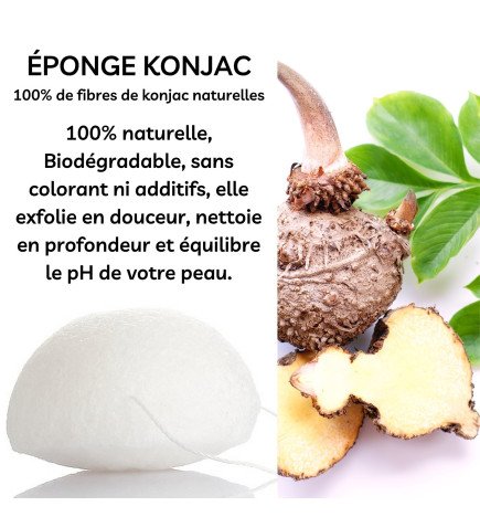 Éponge Konjac pour visage nature zéro déchet