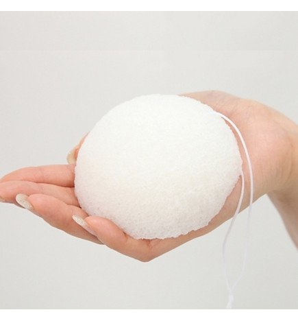 Zenaterra-Konjac Zéro déchet