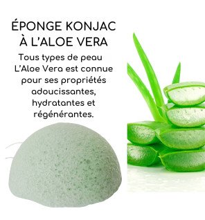 accessoire de soin visage en konjac et aloe vera posé à côté d’un flacon de nettoyant