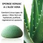 Éponge Konjac à l'aloe vera pour visage