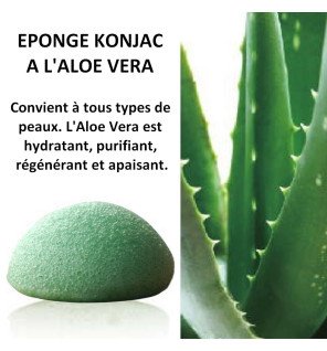 Éponge Konjac pour visage à l'aloe vera zéro déchet