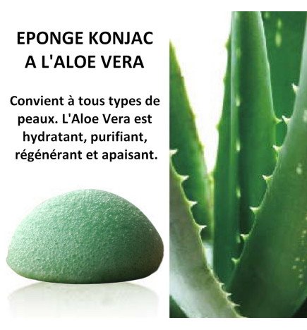 Éponge Konjac pour visage à l'aloe vera zéro déchet