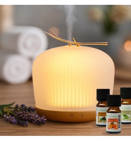 Zenaterra-Nouveautés Coffrets