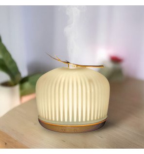  diffuseur origin accompagné de trois flacons d’huiles essentielles 100% pures